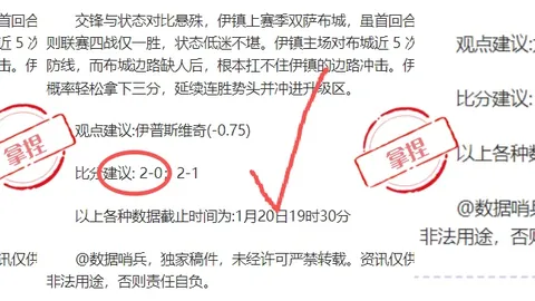 2025视听盛宴：中国网络盛典，精品云集，华章闪耀